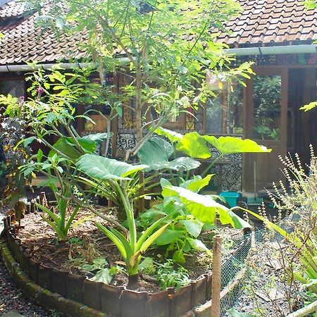 Farmer'S Yard Hostel Canggu  Luaran gambar