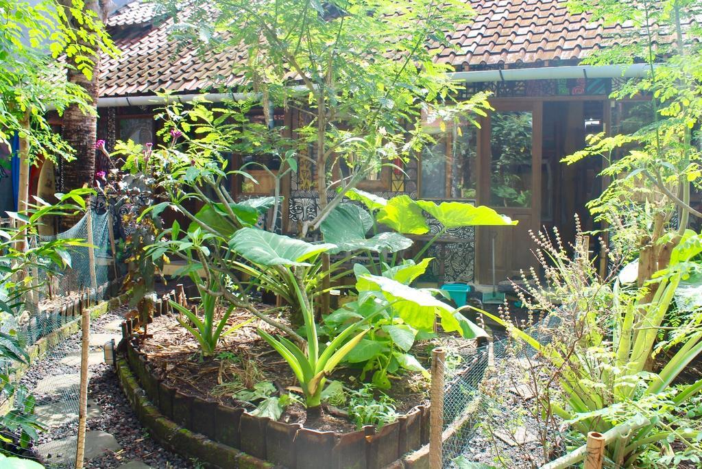 Farmer'S Yard Hostel Canggu  Luaran gambar